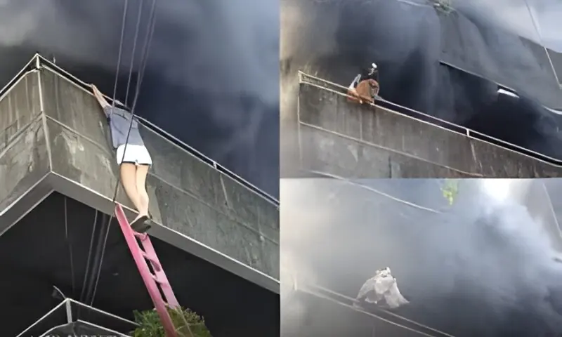 بہادر خاتون نے عمارت میں لگی آگ سے پالتو کتے کو کیسے بچایا؟ ویڈیو وائرل