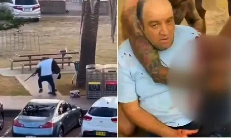 سڈنی فائرنگ: مسلح حملہ آور سے بندوق چھیننے والا مسلمان پھل فروش ہیرو بن گیا سڈنی فائرنگ: مسلح حملہ آور سے بندوق چھیننے والا مسلمان پھل فروش ہیرو بن گیا