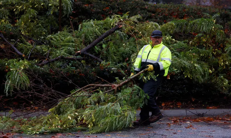 A worker moves a tree which fell at the Westfield Topanga shopping centre in the Canoga Park area of Los Angeles, California. &ndash; Reuters