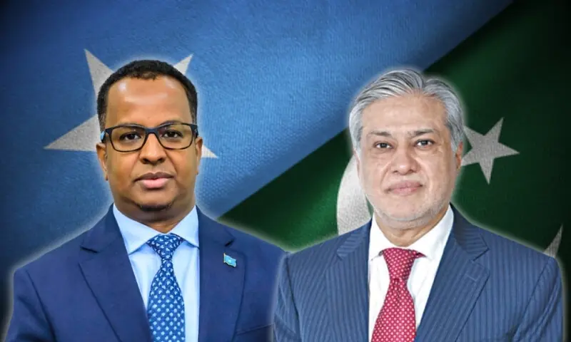 صومالیہ کے وزیرِ خارجہ کا اسحاق ڈار کو فون، حمایت پر پاکستان کا شکریہ ادا کیا