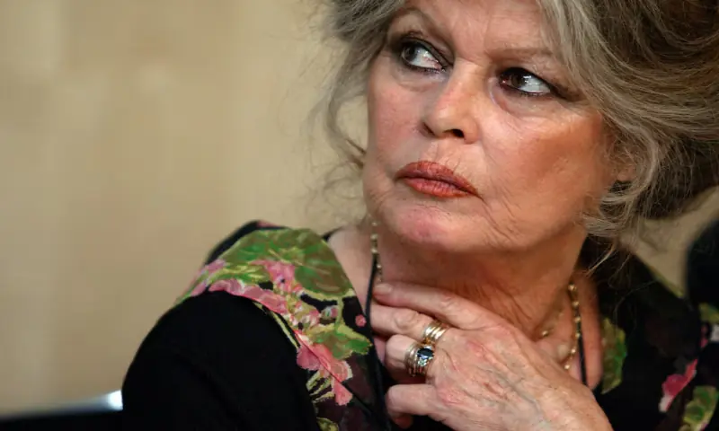 French movie star Brigitte Bardot listens during a news conference in Paris. &ndash; Reuters
