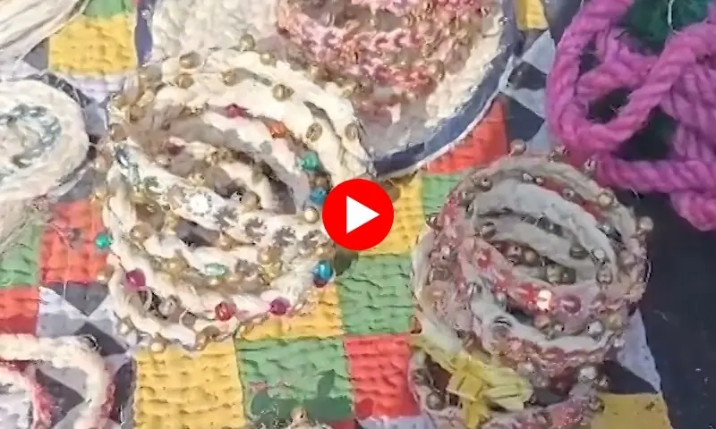 کیلے کے تنوں کا جادو، پیسہ شہرت قدموں میں