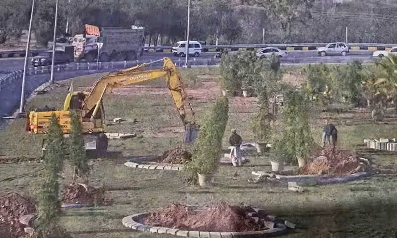 اسلام آباد میں ہزاروں درختوں کی کٹائی، معاملہ کیا ہے؟