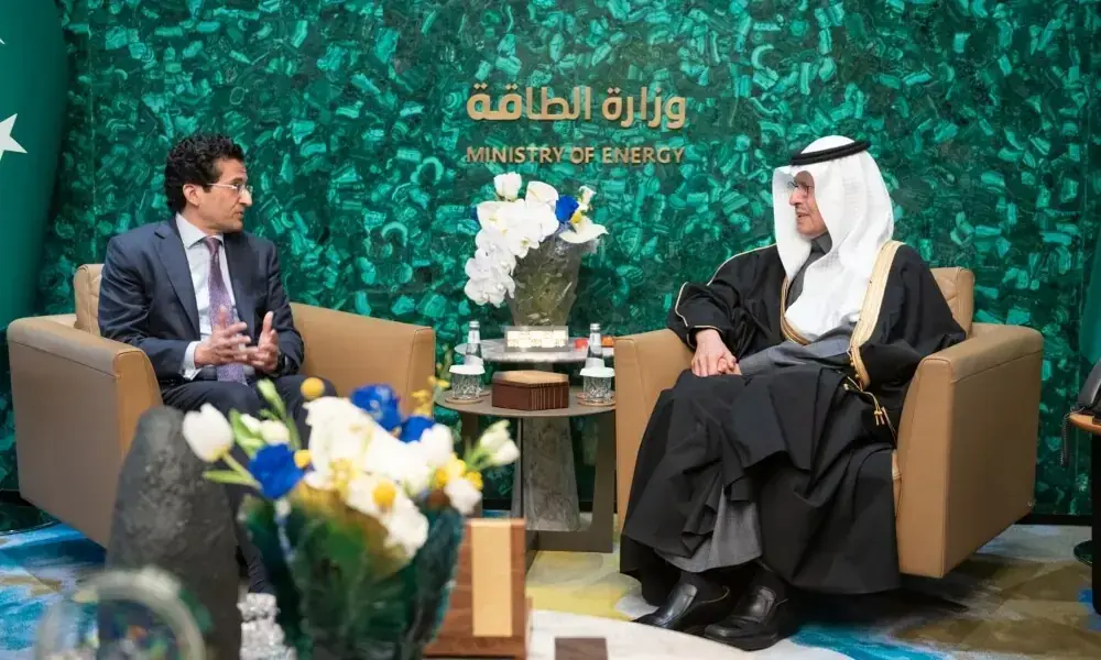Federal Minister for Petroleum Ali Pervaiz Malik and Prince Abdulaziz bin Salman Al-Saud, Minister of Energy of Saudi Arabia, during a meeting in Riyadh on January 17. APP