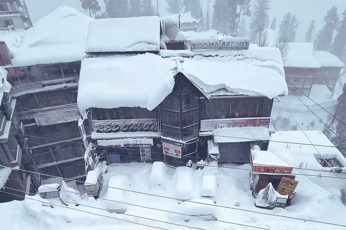 نتھیا گلی
(تصویر: ایکس/ پاکستان ٹورزم) نتھیا گلی
(تصویر: ایکس/ پاکستان ٹورزم)