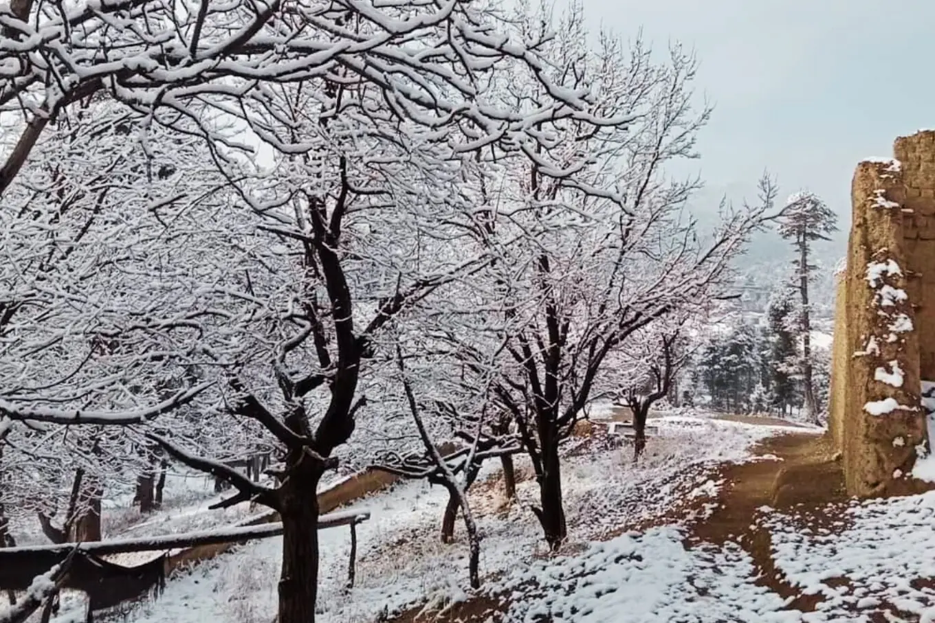 جنوبی وزیرستان - اپر شوال
(تصویر: ایکس/ پاکستان ٹورزم) جنوبی وزیرستان - اپر شوال
(تصویر: ایکس/ پاکستان ٹورزم)