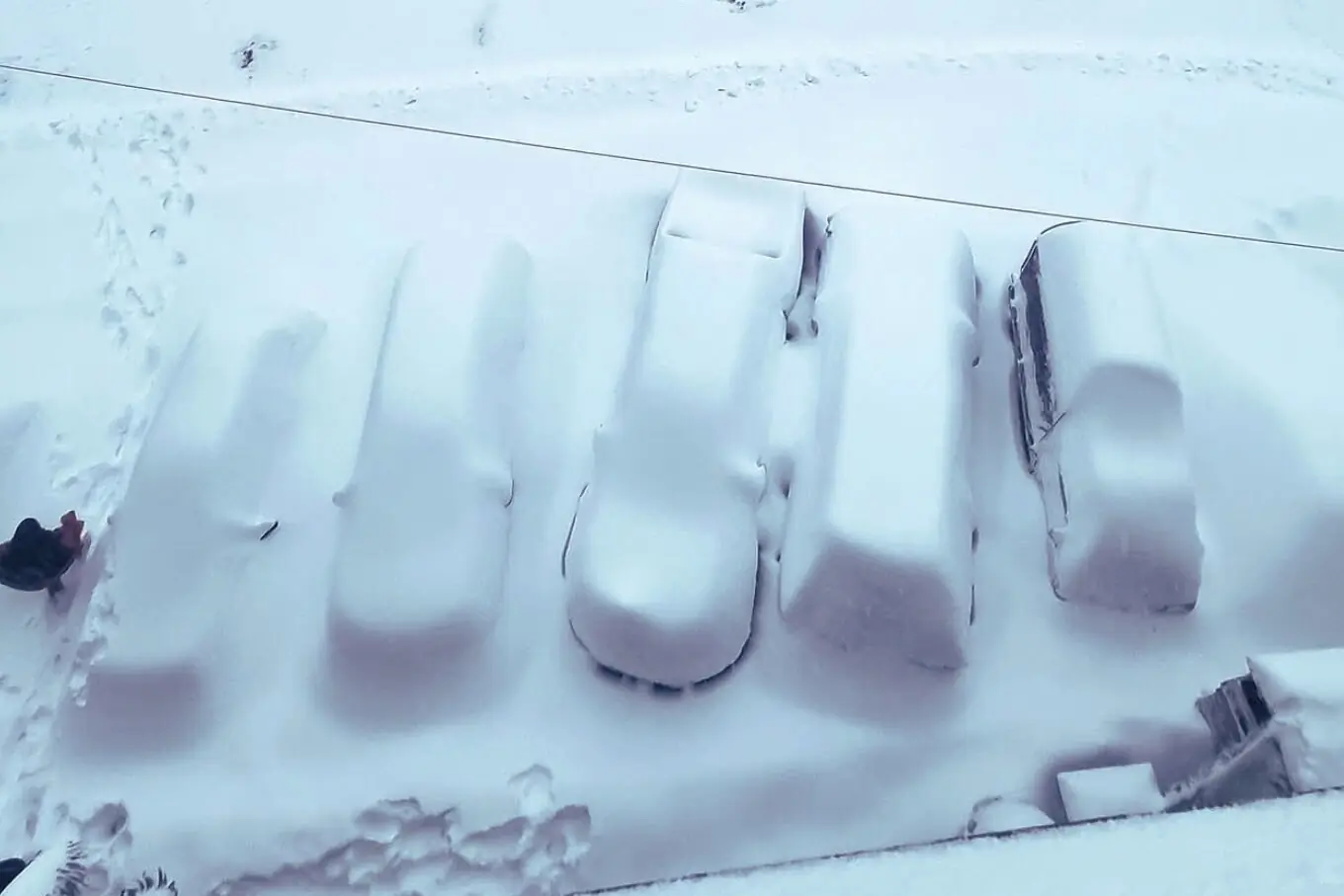 نتھیا گلی
(تصویر: ایکس/ پاکستان ٹورزم) نتھیا گلی
(تصویر: ایکس/ پاکستان ٹورزم)