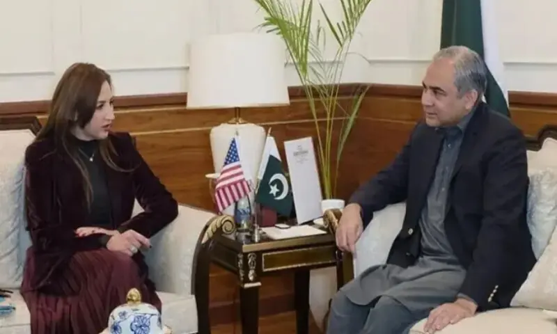 Interior Minister Mohsin Naqvi  and US Charge de&rsquo; Affaires Natalie Baker during a meeting in Islamabad. APP