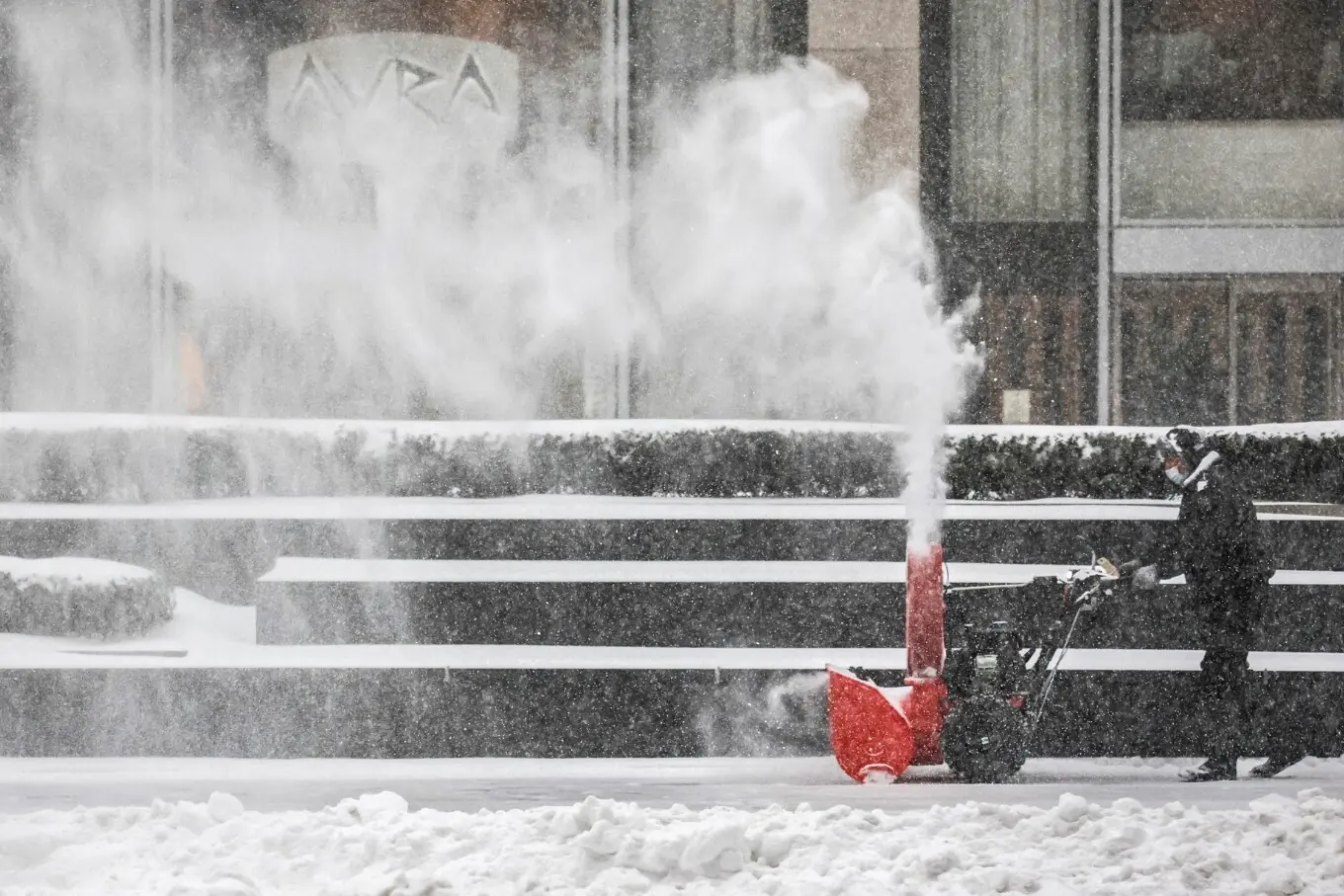 نیویارک نیویارک