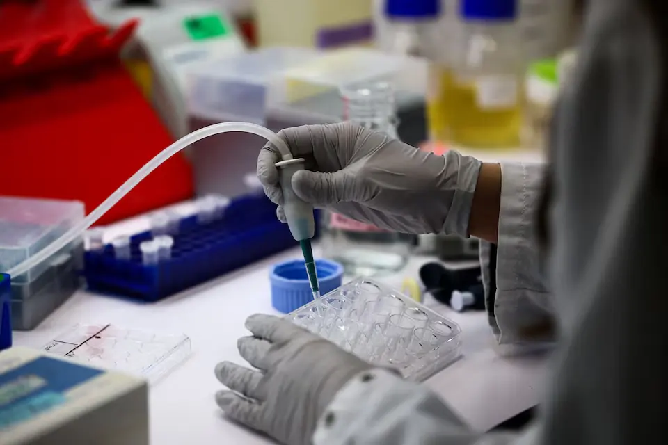 A researcher uses a pipette to transfer a sample into a microtube. &ndash; Reuters