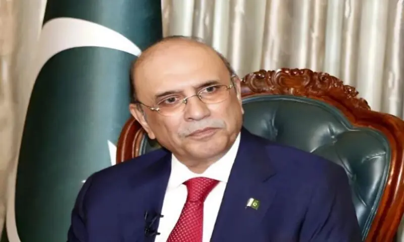 President Asif Ali Zardari. APP file