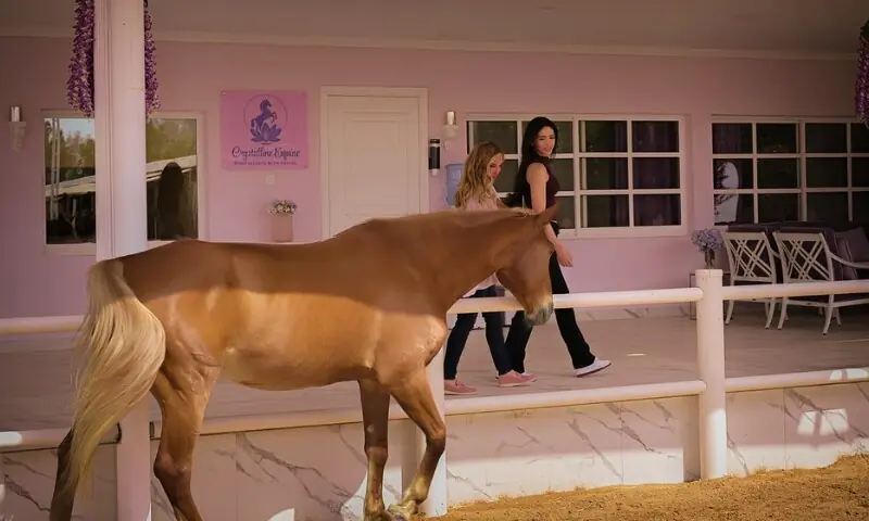 تصویر: بشکریہ خلیج ٹائمز