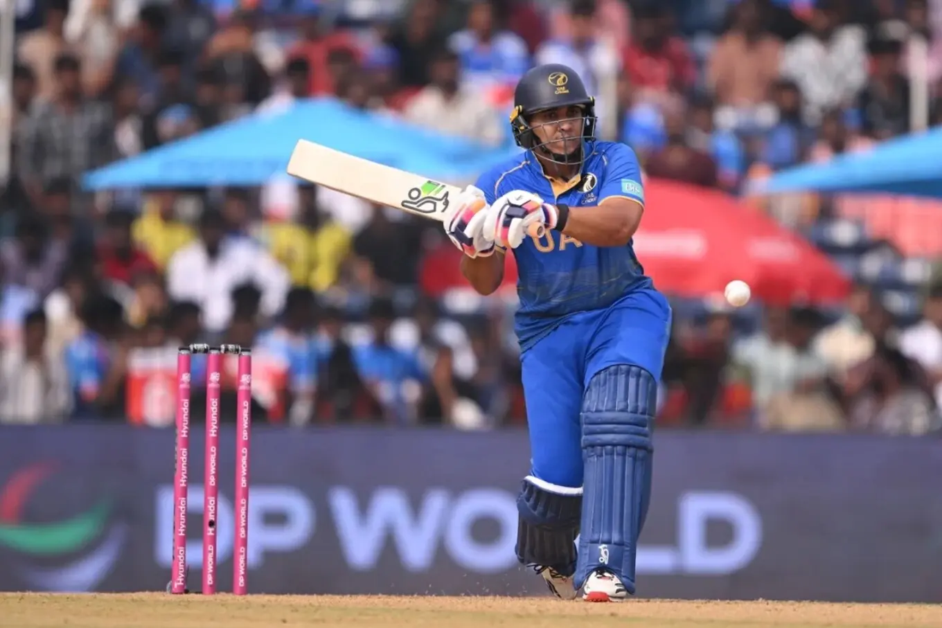 نیوزی لینڈ بمقابلہ یو اے ای