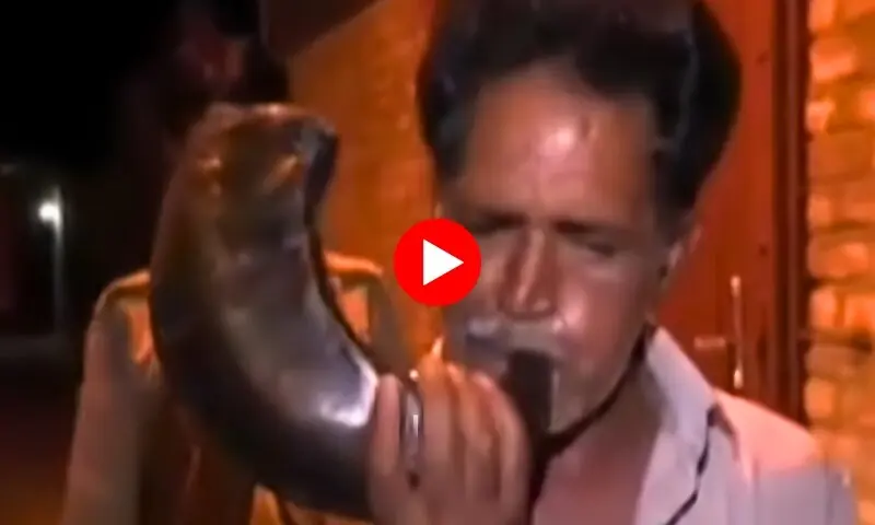 روہڑی کی صدیوں پرانی سحری روایت