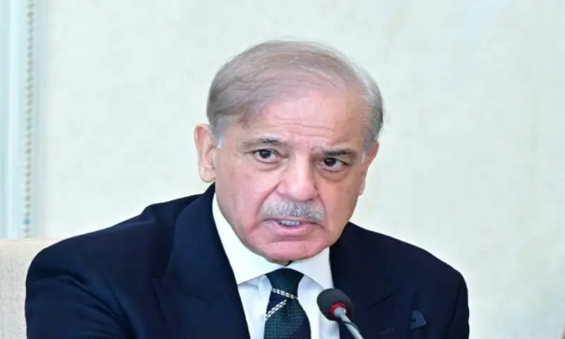 Shehbaz Sharif. &ndash; APP file