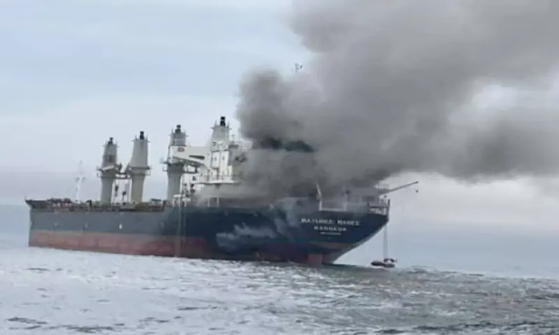 The Thailand-flagged cargo ship Mayuree Naree was engulfed in black smoke in the Strait of Hormuz. &ndash; Reuters
