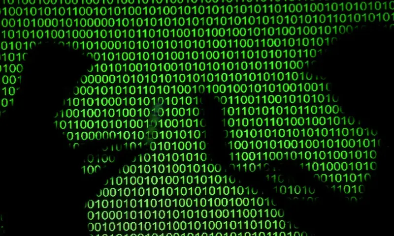 Silhouettes of laptop users are seen next to a screen projection of binary code are seen in this picture. &ndash; Reuters