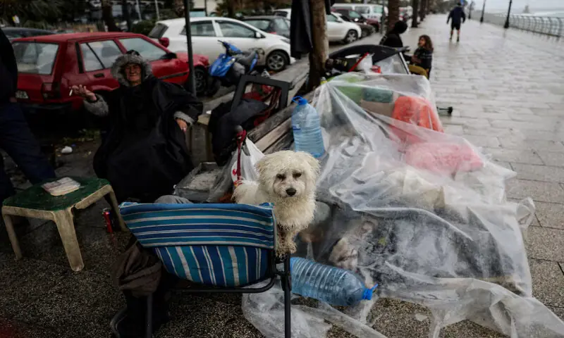 A dog looks on next to displaced people at the corniche after rainfall, following Israeli strikes in Beirut, Lebanon, on Sunday. – Reuters A dog looks on next to displaced people at the corniche after rainfall, following Israeli strikes in Beirut, Lebanon, on Sunday. – Reuters