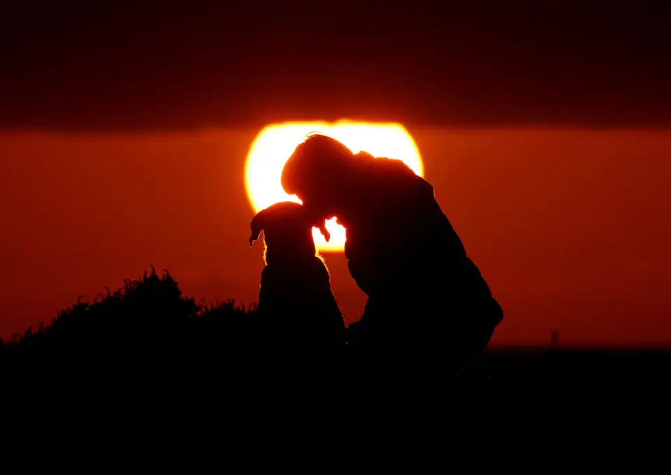 A woman and her dog watching sunset at Anchor Bay. &ndash; Reuters