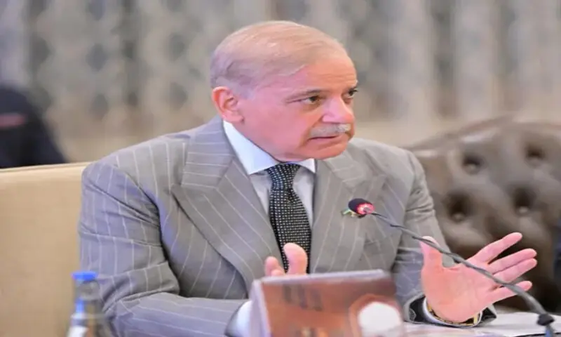 Shehbaz Sharif. &ndash; APP file