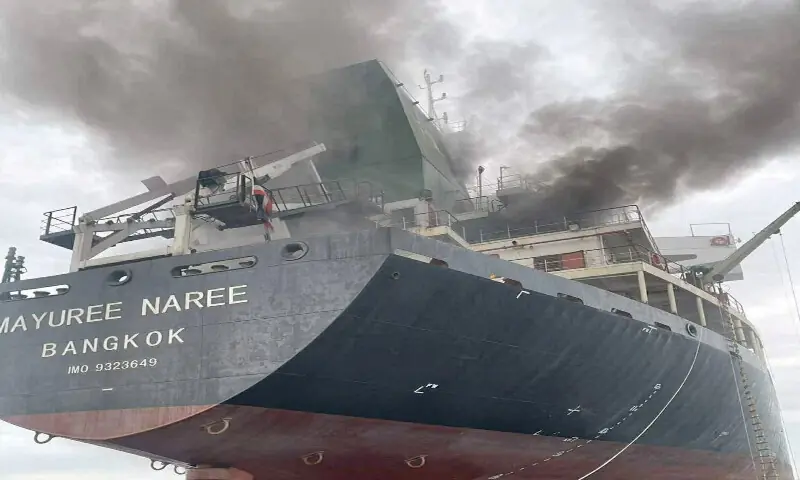 A fire aboard the cargo ship Mayuree Naree in the Strait of Hormuz, approximately 11 nautical miles north of Oman. &ndash; Reuters