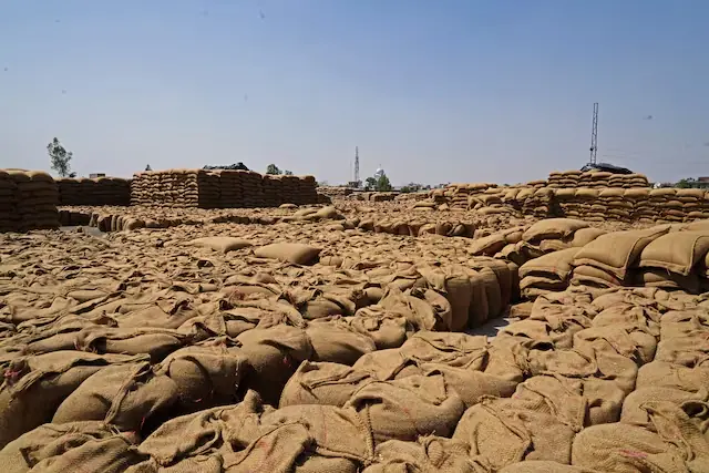 Sacks of harvested wheat at a grain market in Gaggarpur village, in the northern state of Haryana, India. &ndash; Reuters