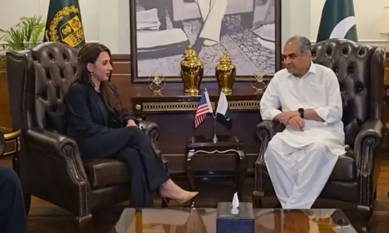 Interior Minister Mohsin Naqvi and US Ambassador Natalie Baker during a meeting in Islamabad on Thursday. &mdash; X@MOIofficialGoP