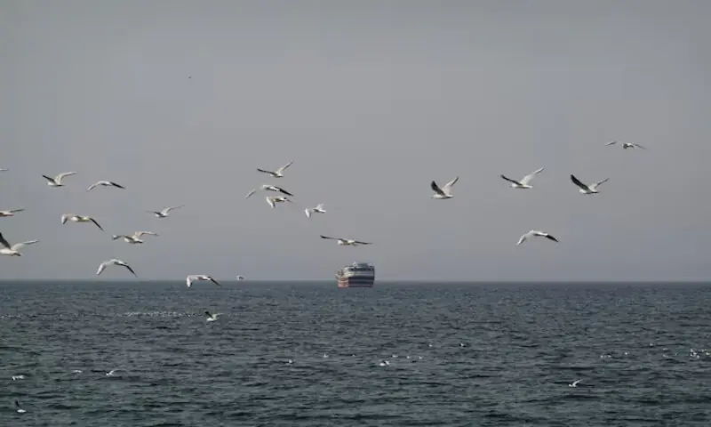Birds fly near a boat in the Strait of Hormuz. Reuters file