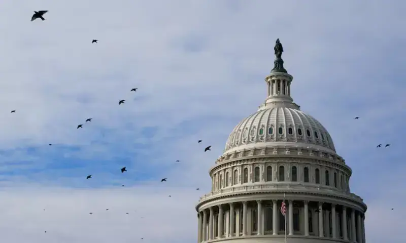 Birds fly past the US Capitol building dome in Washington, DC. Reuters file Birds fly past the US Capitol building dome in Washington, DC. Reuters file