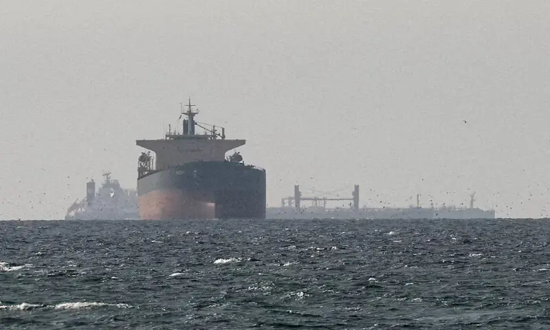 Cargo ships in the Gulf, near the Strait of Hormuz, as seen from northern Ras al-Khaimah, near the border with Oman&rsquo;s Musandam governance, amid the U.S.-Israeli conflict with Iran, in United Arab Emirates, on March 11, 2026. &nbsp;Reuters file