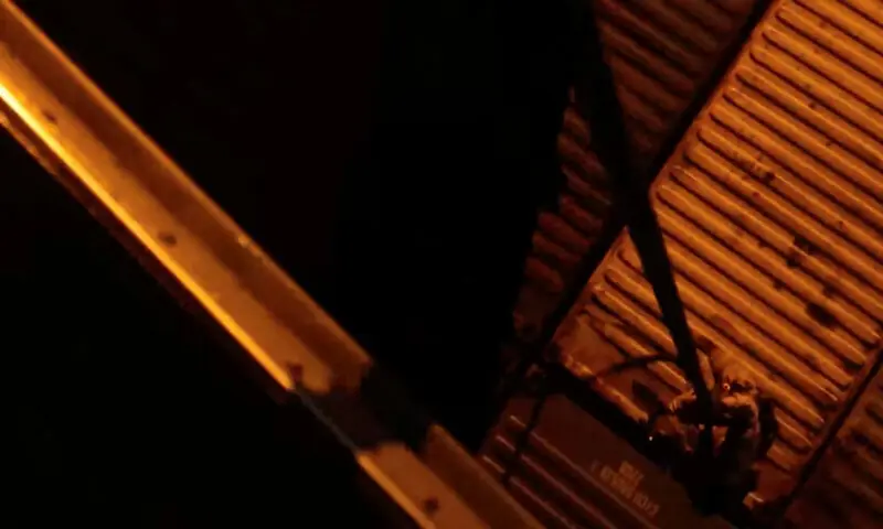 A US marine from the USS Tripoli rappels onto the Iranian-flagged cargo ship M/V Touska in this screen grab. &ndash; Reuters