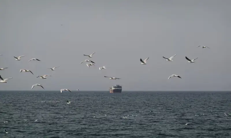 Birds fly near a boat in the Strait of Hormuz as seen from Musandam, Oman. -- Reuters
