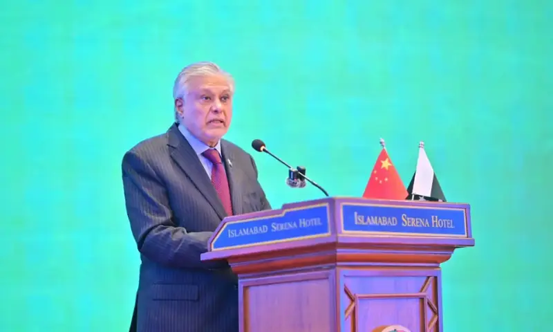 Deputy Prime Minister and Foreign Minister Mohammad Ishaq Dar.
