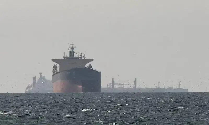 Cargo ships in the Gulf, near the Strait of Hormuz, as seen from northern Ras Al Khaimah, near the border with Oman&rsquo;s Musandam governance, amid the US-Israeli conflict with Iran, in the United Arab Emirate. -- Reuters