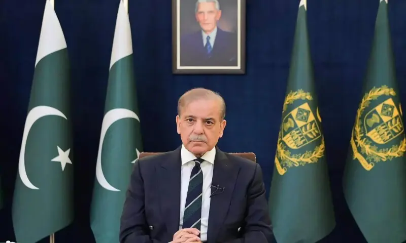 Shehbaz Sharif. -- APP Shehbaz Sharif. -- APP