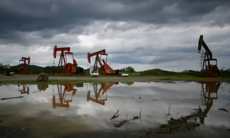 Pump jacks operate at an oil well run by Mexican state oil firm Pemex, where Indigenous communities in the Papantla region sit atop gas and oil deposits the government wants to exploit using hydraulic fracturing, or fracking, in Arroyo Florido, Veracruz state, Mexico. -- Reuters