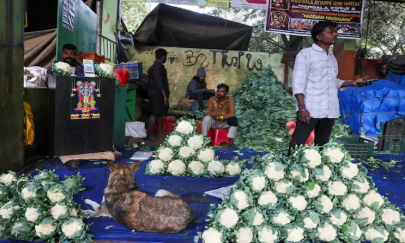 Vendors sit at a vegetable stall selling cauliflowers at a market in Bengaluru, India. -- Reuters Vendors sit at a vegetable stall selling cauliflowers at a market in Bengaluru, India. -- Reuters