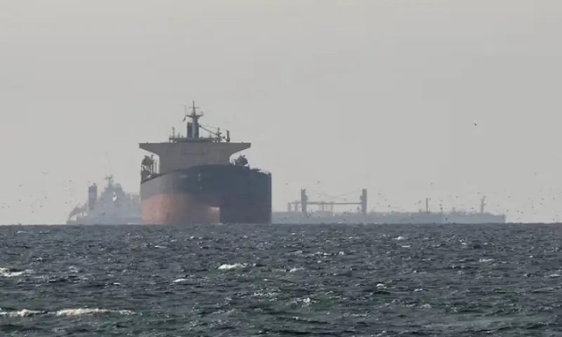 Cargo ships in the Gulf, near the Strait of Hormuz, as seen from northern Ras al-Khaimah, near the border with Oman’s Musandam governance in United Arab Emirates. -- Reuters Cargo ships in the Gulf, near the Strait of Hormuz, as seen from northern Ras al-Khaimah, near the border with Oman’s Musandam governance in United Arab Emirates. -- Reuters