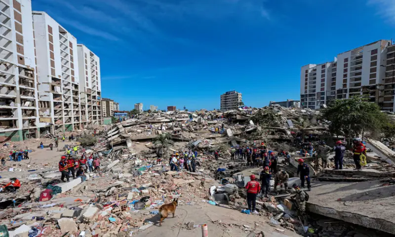 A rescue dog from the Argentine search and rescue team searches for bodies in the rubble of a collapsed building in La Guaira state, Venezuela. -- Reuters