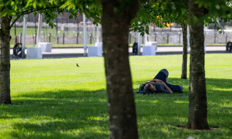 A man lies down under trees as excessive heat hits Washington, DC. -- Reuters A man lies down under trees as excessive heat hits Washington, DC. -- Reuters