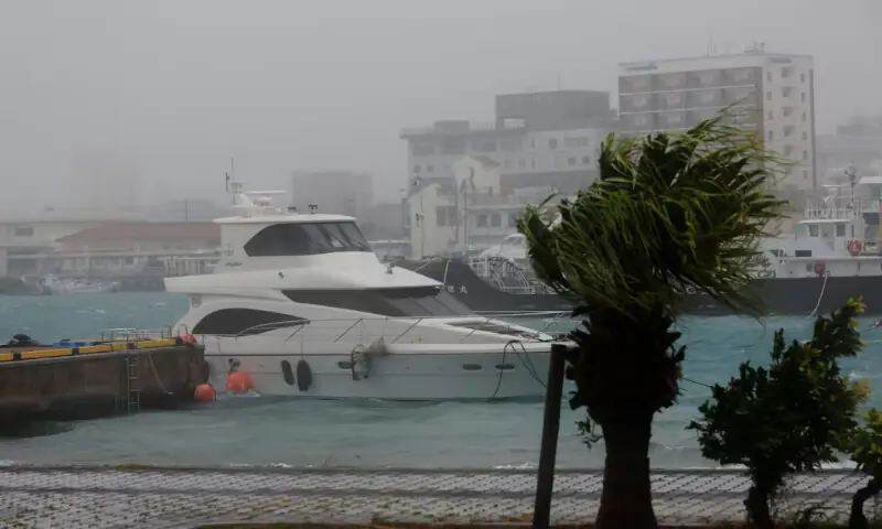 Strong wind rattles trees at a port as Typhoon Bavi passes through, in Ishigaki, Japan, on Saturday. -- Reuters
