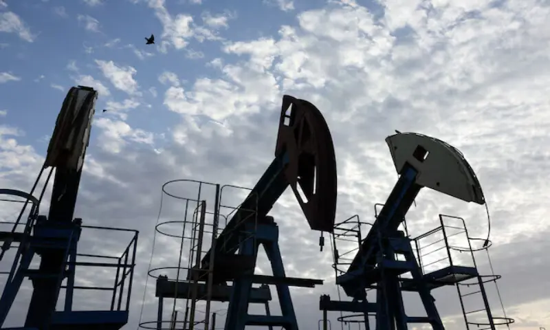 Birds fly over pump jacks at the Airankol oil field operated by Caspiy Neft in the Atyrau region, Kazakhstan. -- Reuters file