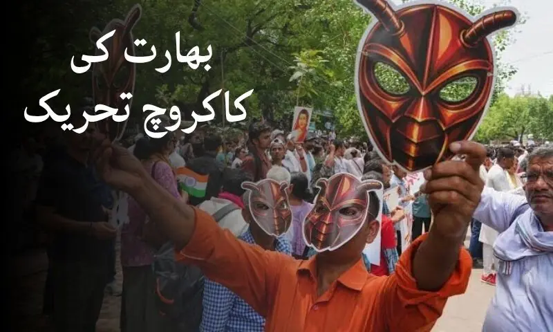 بھارت کی کاکروچ تحریک