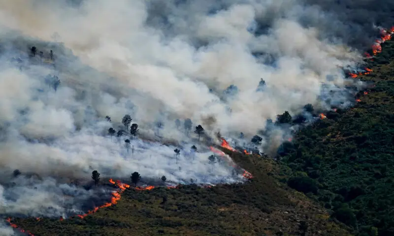 A view of a wildfire spreading over the Burgohondo mountains in Avila, Spain. -- Reuters A view of a wildfire spreading over the Burgohondo mountains in Avila, Spain. -- Reuters