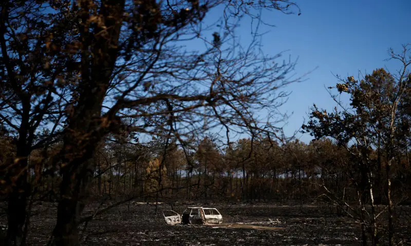A burnt car near charred trees following a wildfire in Le Porge, France. -- Reuters