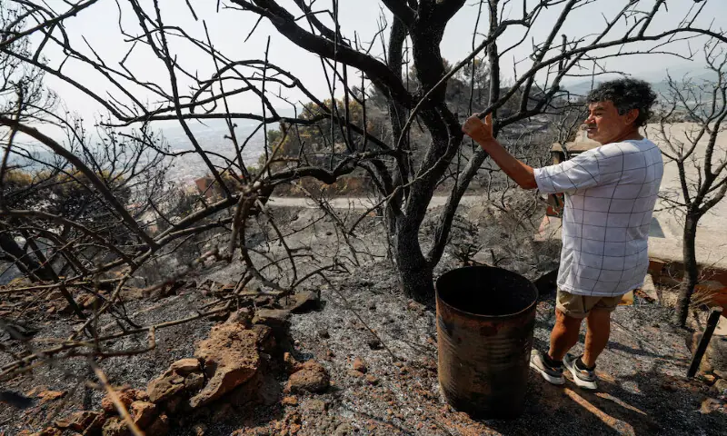 Javier Navarro inspects the damage caused by a wildfire in La Vall d'Uixo, Castellon province, Spain. -- Reuters