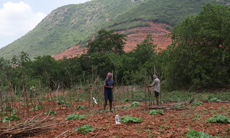 Farmers work in a field near the construction site of the Google-Adani data centre project in Tarluvada, in Visakhapatnam, Andhra Pradesh, India. -- Reuters Farmers work in a field near the construction site of the Google-Adani data centre project in Tarluvada, in Visakhapatnam, Andhra Pradesh, India. -- Reuters