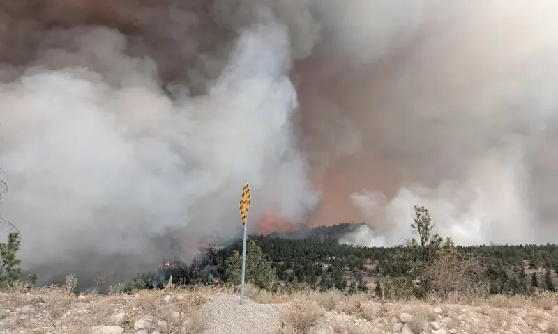 Smoke rises from the Bald Range wildfire northwest of Summerland, British Columbia, Canada. -- Reuters