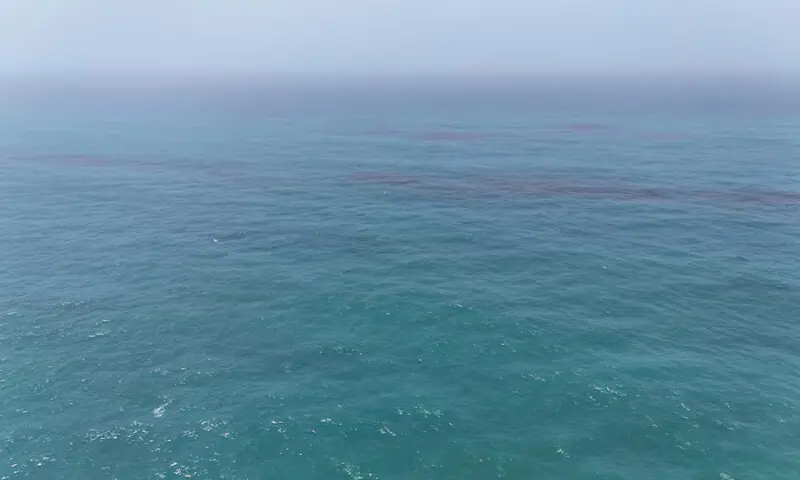 Oil on the sea surface off the coast of Oman, according to the Omani Environment Authority, in this handout image. -- Reuters