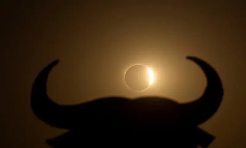 The moon partially covers the sun during a solar eclipse near the silhouette of an Osborne Bull, in Navarrete, northern Spain. -- Reuters